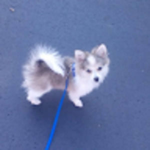 Meet your Posher, Shalyn